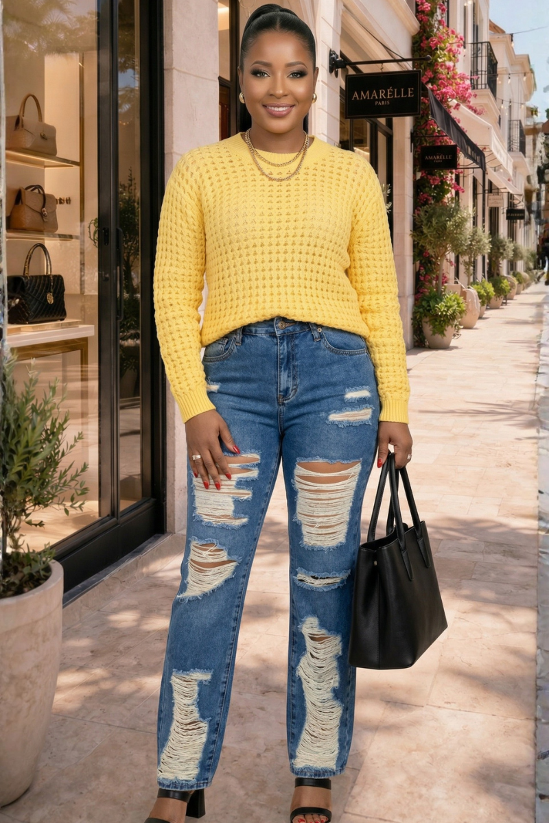 Sunny Knit Sweater Top